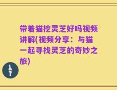带着猫挖灵芝好吗视频讲解(视频分享：与猫一起寻找灵芝的奇妙之旅)