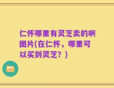 仁怀哪里有灵芝卖的啊图片(在仁怀，哪里可以买到灵芝？)