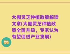大棚灵芝种植政策解读文章(大棚灵芝种植政策全面升级，专家认为有望促进产业发展)