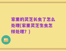 家里的灵芝长虫了怎么处理(家里灵芝生虫怎样处理？)