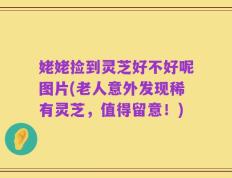 姥姥捡到灵芝好不好呢图片(老人意外发现稀有灵芝，值得留意！)
