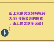 山上大采灵芝好吗视频大全(收获灵芝的惊喜，山上摘灵芝全记录！)