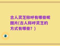 古人灵芝称呼有哪些呢图片(古人称呼灵芝的方式有哪些？)