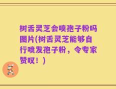 树舌灵芝会喷孢子粉吗图片(树舌灵芝能够自行喷发孢子粉，令专家赞叹！)