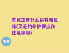 养灵芝有什么讲究和忌讳(灵芝的养护要点和注意事项)