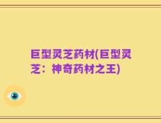 巨型灵芝药材(巨型灵芝：神奇药材之王)