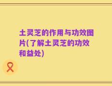 土灵芝的作用与功效图片(了解土灵芝的功效和益处)