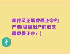 哪种灵芝最香最正宗的产地(哪里出产的灵芝最香最正宗？)