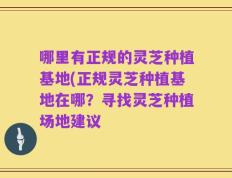 哪里有正规的灵芝种植基地(正规灵芝种植基地在哪？寻找灵芝种植场地建议
