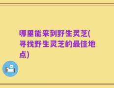 哪里能采到野生灵芝(寻找野生灵芝的最佳地点)