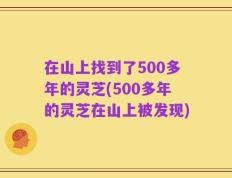 在山上找到了500多年的灵芝(500多年的灵芝在山上被发现)