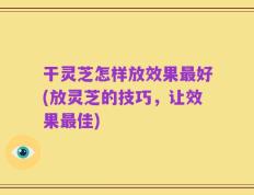 干灵芝怎样放效果最好(放灵芝的技巧，让效果最佳)