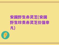 安国野生赤灵芝(安国野生珍贵赤灵芝价值非凡)