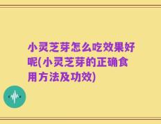 小灵芝芽怎么吃效果好呢(小灵芝芽的正确食用方法及功效)