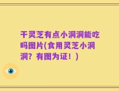 干灵芝有点小洞洞能吃吗图片(食用灵芝小洞洞？有图为证！)