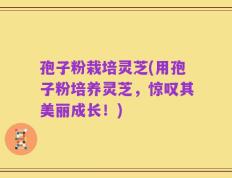 孢子粉栽培灵芝(用孢子粉培养灵芝，惊叹其美丽成长！)