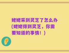 姥姥采到灵芝了怎么办(姥姥得到灵芝，你需要知道的事情！)