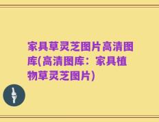 家具草灵芝图片高清图库(高清图库：家具植物草灵芝图片)