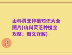 山科灵芝种植知识大全图片(山科灵芝种植全攻略：图文详解)