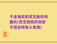 千金难买的灵芝能吃吗图片(灵芝别具药效却不适合所有人食用)