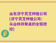 山东济宁灵芝种植公司(济宁灵芝种植公司：从山林到餐桌的全程把控)