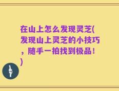 在山上怎么发现灵芝(发现山上灵芝的小技巧，随手一拍找到极品！)