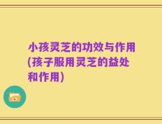 小孩灵芝的功效与作用(孩子服用灵芝的益处和作用)