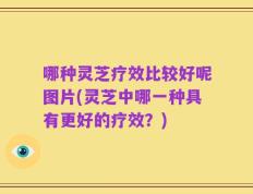 哪种灵芝疗效比较好呢图片(灵芝中哪一种具有更好的疗效？)