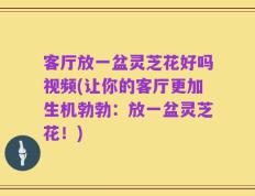 客厅放一盆灵芝花好吗视频(让你的客厅更加生机勃勃：放一盆灵芝花！)