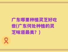 广东哪里种植灵芝好吃些(广东何处种植的灵芝味道最美？)
