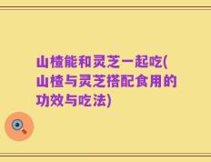 山楂能和灵芝一起吃(山楂与灵芝搭配食用的功效与吃法)