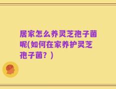 居家怎么养灵芝孢子菌呢(如何在家养护灵芝孢子菌？)