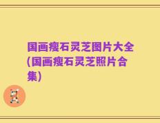 国画瘦石灵芝图片大全(国画瘦石灵芝照片合集)