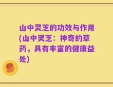 山中灵芝的功效与作用(山中灵芝：神奇的草药，具有丰富的健康益处)