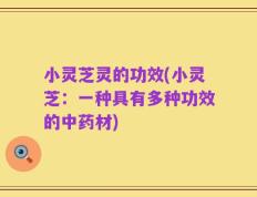 小灵芝灵的功效(小灵芝：一种具有多种功效的中药材)