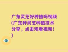 广东灵芝好种植吗视频(广东种灵芝种植技术分享，点击观看视频！)