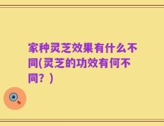 家种灵芝效果有什么不同(灵芝的功效有何不同？)