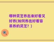 哪种灵芝养出来好看又好养(如何养出好看容易养的灵芝？)