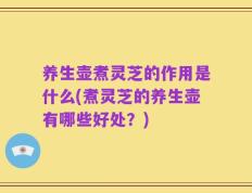养生壶煮灵芝的作用是什么(煮灵芝的养生壶有哪些好处？)