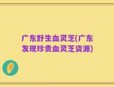 广东野生血灵芝(广东发现珍贵血灵芝资源)