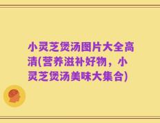小灵芝煲汤图片大全高清(营养滋补好物，小灵芝煲汤美味大集合)