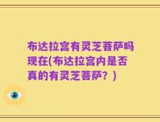 布达拉宫有灵芝菩萨吗现在(布达拉宫内是否真的有灵芝菩萨？)