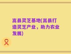 嵩县灵芝基地(嵩县打造灵芝产业，助力农业发展)