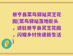 册亨县菜鸟驿站灵芝花园(菜鸟驿站落地巨头，进驻册亨县灵芝花园，闪耀乡村快递新生活)