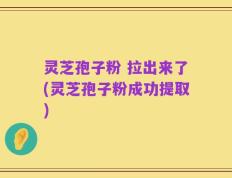 灵芝孢子粉 拉出来了(灵芝孢子粉成功提取)