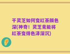 干灵芝如何变红茶颜色深(神奇！灵芝竟能将红茶变得色泽深沉)