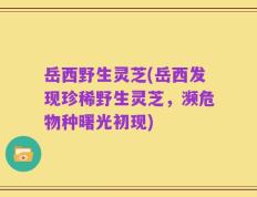 岳西野生灵芝(岳西发现珍稀野生灵芝，濒危物种曙光初现)