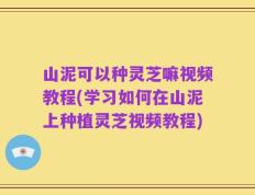 山泥可以种灵芝嘛视频教程(学习如何在山泥上种植灵芝视频教程)