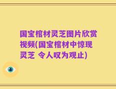 国宝棺材灵芝图片欣赏视频(国宝棺材中惊现灵芝 令人叹为观止)