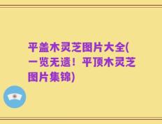 平盖木灵芝图片大全(一览无遗！平顶木灵芝图片集锦)